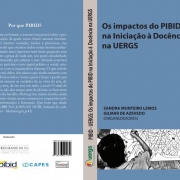 Livro re&uacute;ne artigos que abordam quest&otilde;es relacionadas &agrave; inser&ccedil;&atilde;o do Pibid na Inicia&ccedil;&atilde;o &agrave; Doc&ecirc;ncia e seus impactos. 