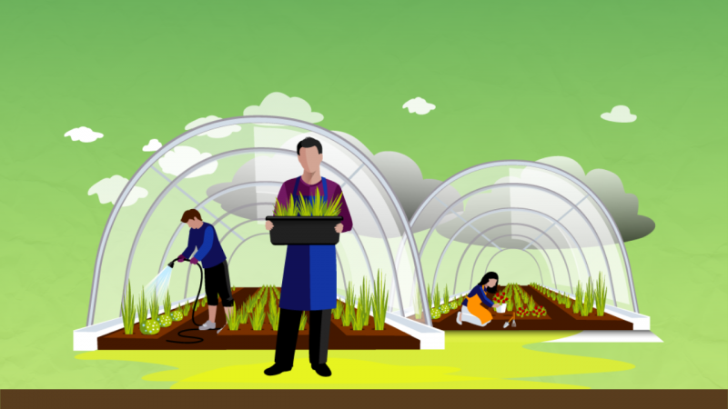 Imagem com fundo verde com uma barra marrom na parte inferior. Ao centro, ilustra&ccedil;&atilde;o de duas estufas com canteiros de plantas, uma com um homem regando as plantas e a outra com uma mulher agachada. &Agrave; frente, um homem segurando um vaso de planta.